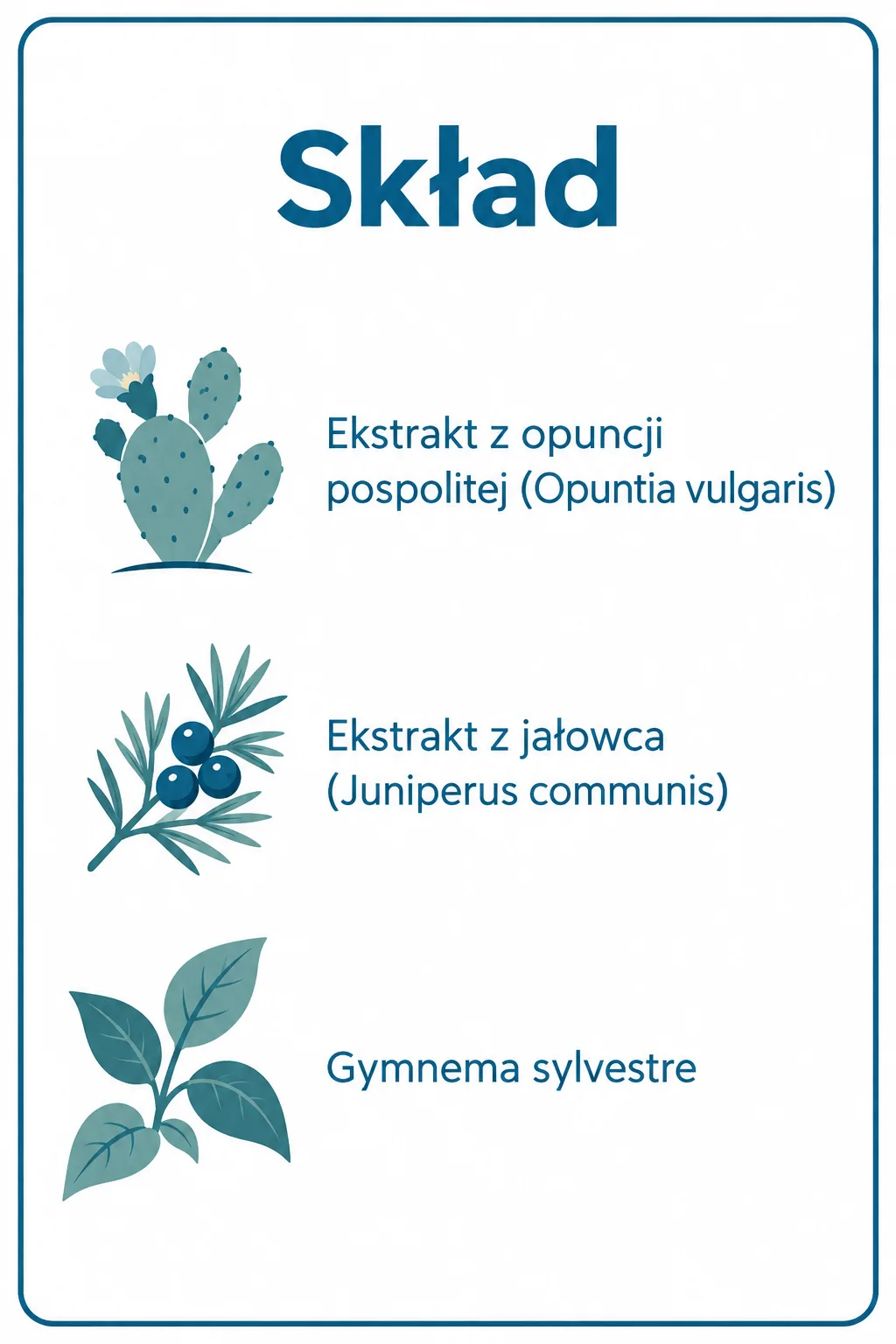 Skład kapsułek Dizaxen